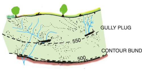 rain water harvesting