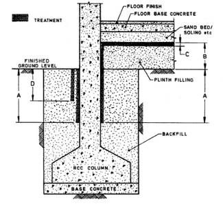 [Image: termite7.jpg]