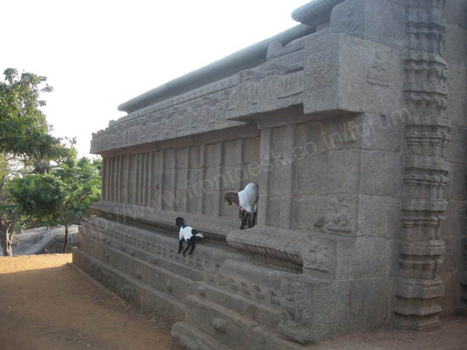 [Image: mahabalipuram%20(26).jpg]