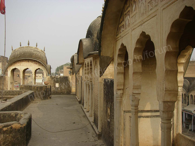 [Image: navalgarh%20(37).jpg]